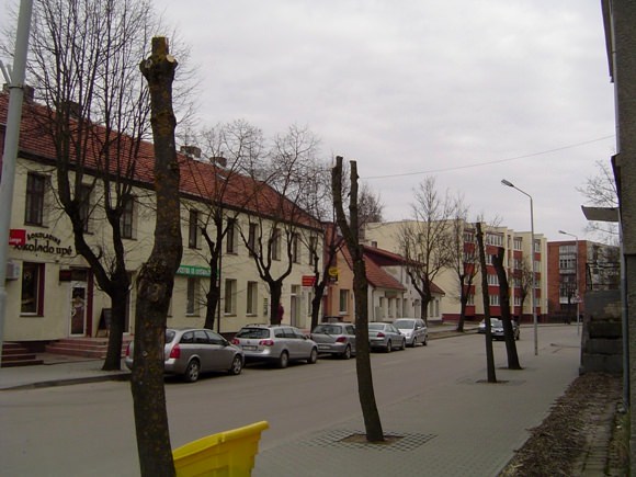 Verslininkas R. Jaruškevičius pripažintas kaltu dėl savavališko medžių genėjimo. (www.silutesetazinios.lt archyvo nuotr.)