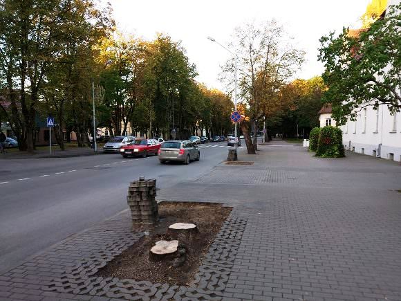 Oresto Lidžiaus nuotr.